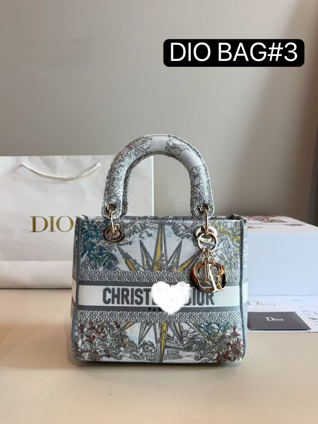 DIO BAG #3 Embroidered Cotton Cannage | Pale Gold-Tone Hardware | 24×20×11cm | Medium Top Handle | Lady D-Lite