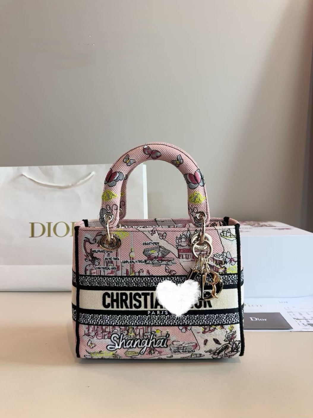 DIO BAG #3 Embroidered Cotton Cannage | Pale Gold-Tone Hardware | 24×20×11cm | Medium Top Handle | Lady D-Lite